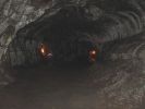 Thurston Lava Tube